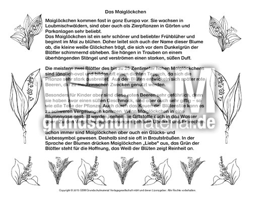 Abschreibtext-Maiglöckchen-SW.pdf